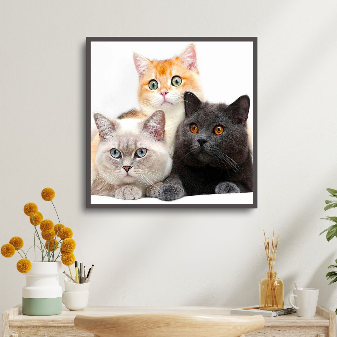 Drei Katzen - Diamond Painting