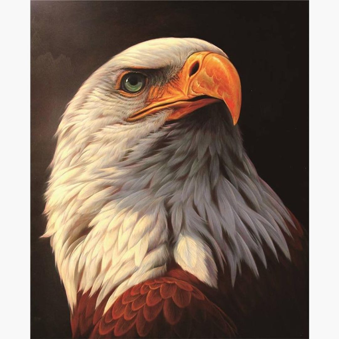 Adler - Diamond Painting
