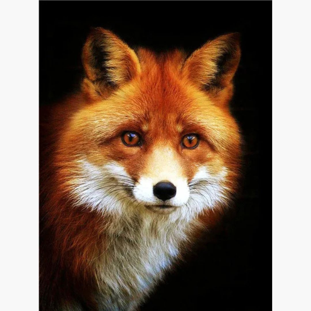 Fuchs - Diamond Painting