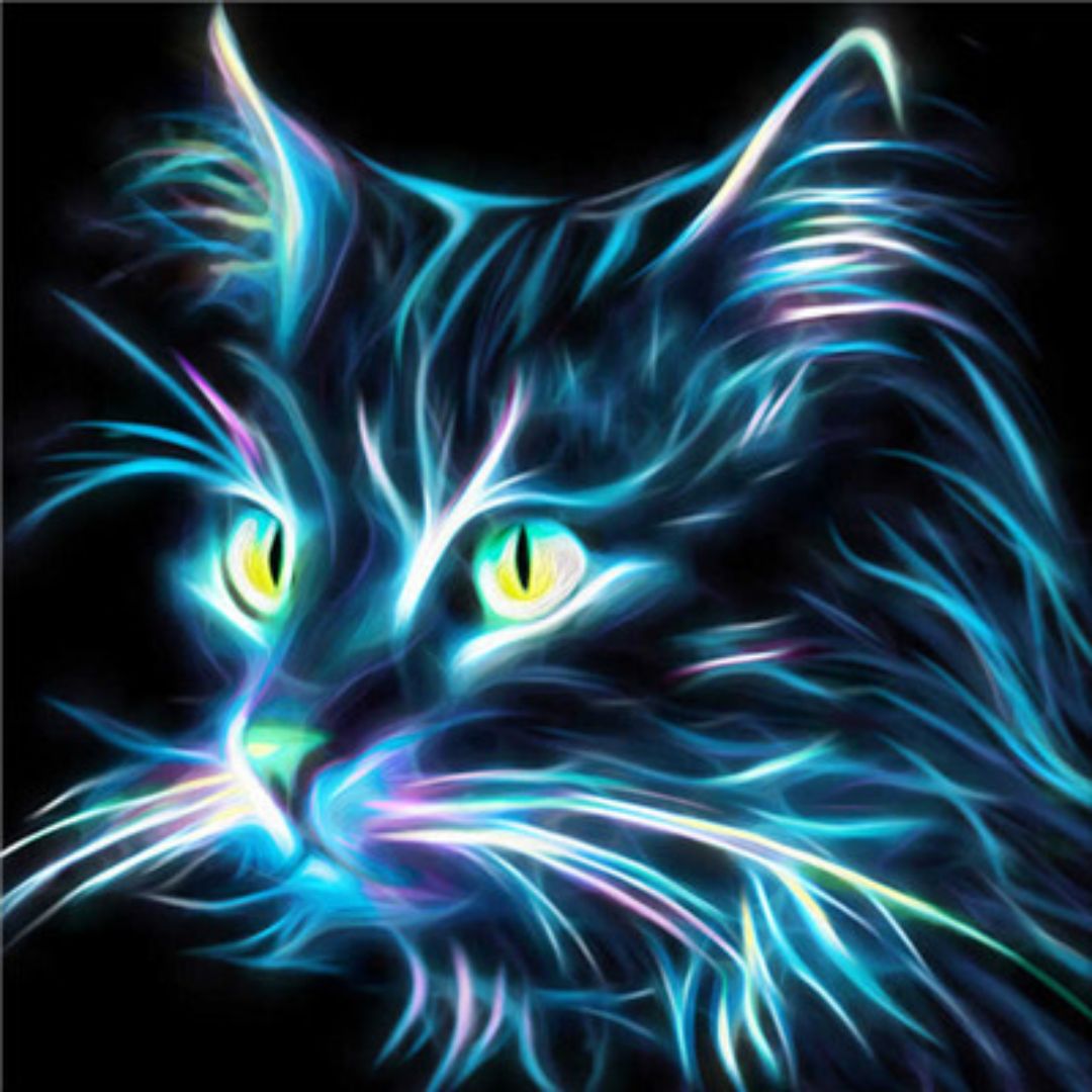 Katze - Diamond Painting