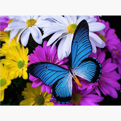 Schmetterling - Diamond Painting