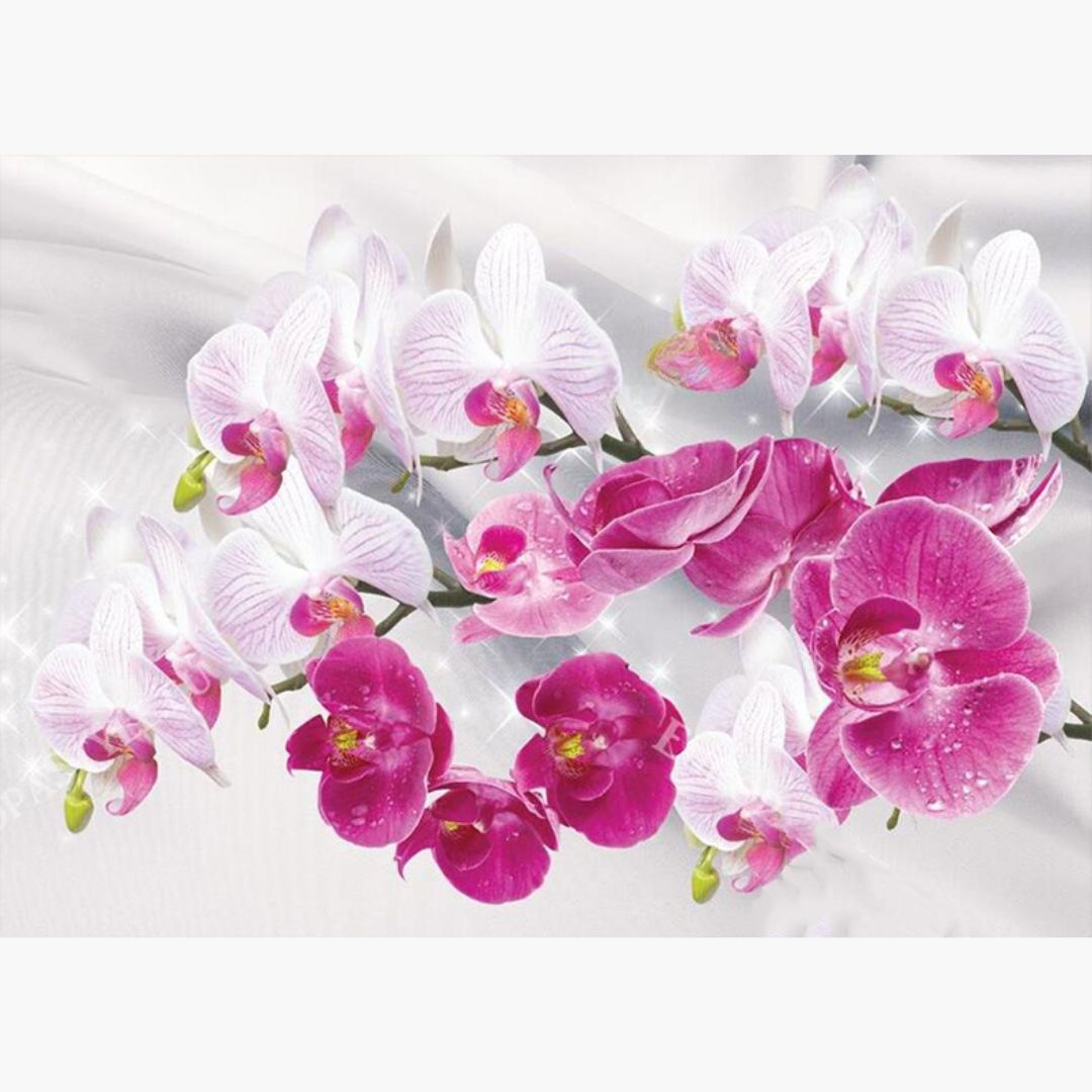 Orchideen - Senioren Diamond Painting